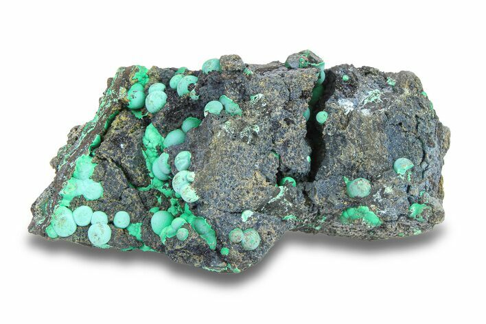 Bright Teal Botryoidal Chrysocolla - Planet Mine, Arizona #283887